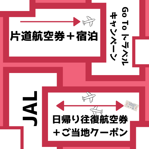 Jal片道 日帰りダイナミックパッケージが期間限定で販売開始 より自由な旅行が可能に